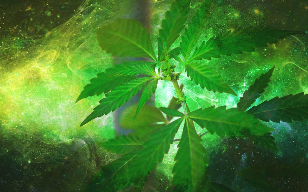 La Cannabis crea dipendenza? Dipende, se è Light no!