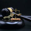 quali-percentuali-di-THC-ha-la-pianta-del-genere-cannabis
