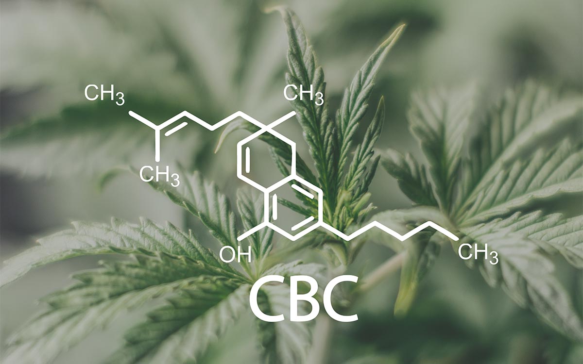 Cannabicromene (CBC): guida completa al “cannabinoide nascosto”